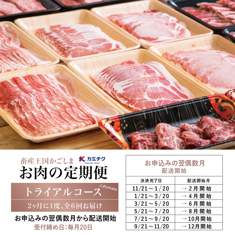 【定期便全6回】情熱牧場 鹿児島県産お肉の定期便 トライアルコース　お肉 ステーキ すき焼き しゃぶしゃぶ A5等級 黒毛和牛 牛肉 豚肉 焼肉 定期便 冷凍