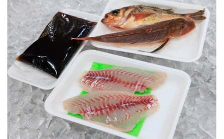 プロが選んだ！魚屋の鮮魚詰め合わせセット（刺身用１種と塩焼・煮付用下処理済各１匹づつ）日本海・能生漁港直送！新潟県 糸魚川 磯貝鮮魚店