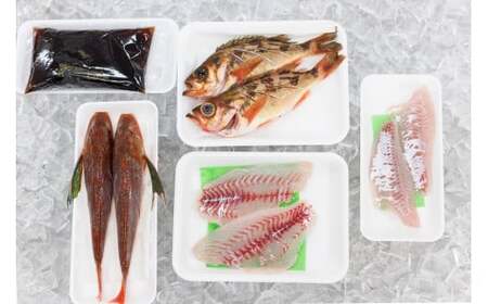 プロが選んだ！旬の鮮魚詰め合わせセット（刺身用２種と塩焼・煮付用下処理済各２匹づつ）日本海・能生漁港直送！新潟県 糸魚川 磯貝鮮魚店