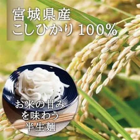 宮城県産コシヒカリ使用　米粉パスタ グルテンフリー米粉麺 10袋_麺 パスタ  _【1366731】