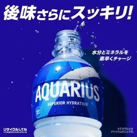 コカ・コーラ社のアクエリアス 500mlペット×24本_飲料・ドリンク  ジュース _【1378038】