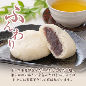 isa441  酒まんじゅうご家庭用(12個)和菓子 まんじゅう お菓子 鹿児島 伝統菓子 酒饅頭 セット 簡易包装【新富大生堂】