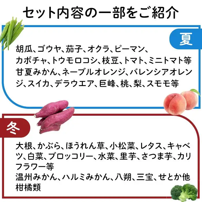 【年4回お届け（3・6・9・12月）】紀南の採れたて野菜・フルーツ定期便（春・夏・秋・冬）8～15品目詰め合わせ
