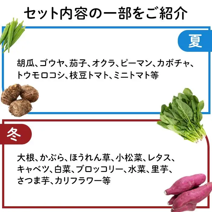 紀南の採れたて新鮮野菜・お米詰め合わせセット（8～12品目詰め合わせ）