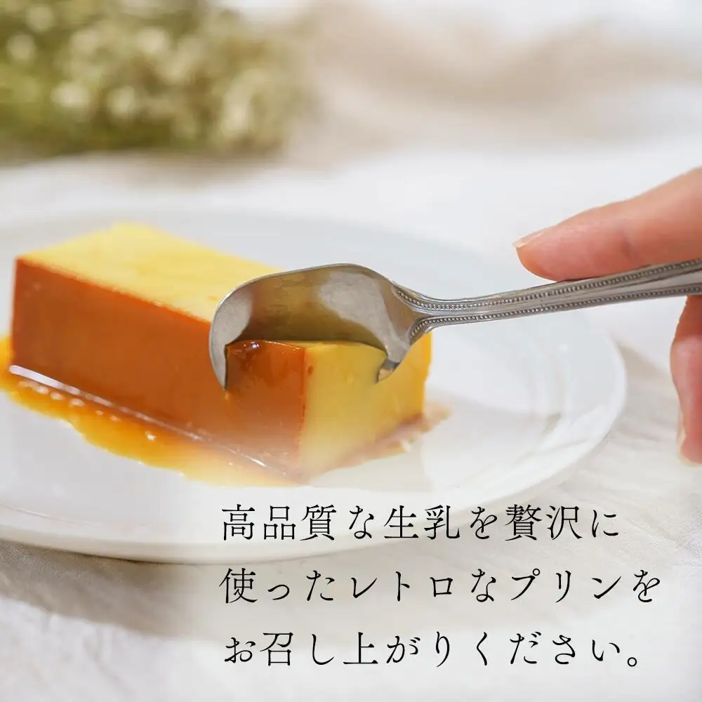 【定期便】　濃厚プリン　New Pudding（ニュープディング）（500g×1本）×8ヶ月 be152-0931-100-8　（ ぷりん プリン プディング 北海道 別海町 人気 ふるさと納税 ）