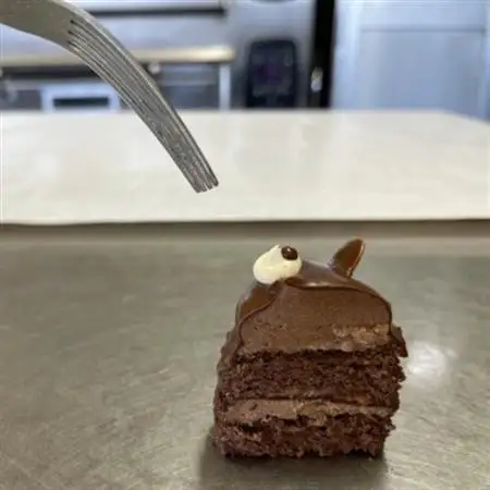 たぬきさんケーキ 20個セット_菓子・スイーツ ケーキ  _【配送不可地域：離島】【1404963】