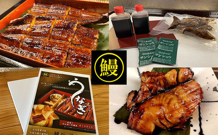 三河一色うなぎ蒲焼き2尾(中サイズ)、銀ダラ2切　肝焼き付き・F022-19