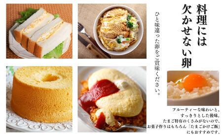 やさしい甘みあふれる卵『ピュア・エッグ』30個 コクがあるのにフルーティーな甘さ 糸魚川 新潟 卵 たまご お菓子作り フェルエッグ