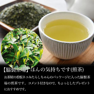 しこちゅ～お茶づくし