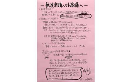 【令和7年産】【無洗米】山形県産もがみ誉れ10kg