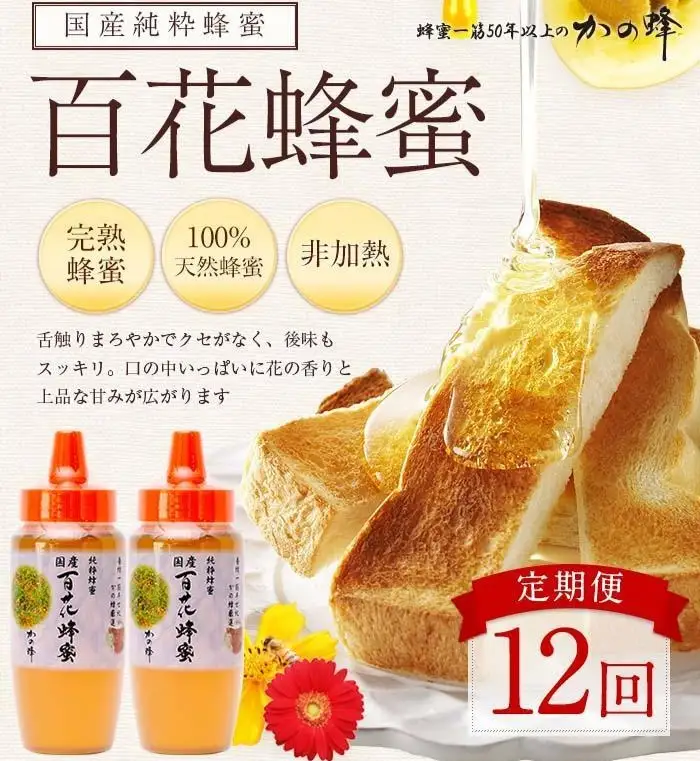 【全12回】 定期便 かの蜂 国産 百花蜂蜜 合計12kg（とんがり容器500gを毎月2本お届け） 純粋はちみつ ハチミツ 非加熱 ハニー 大容量 024-T006