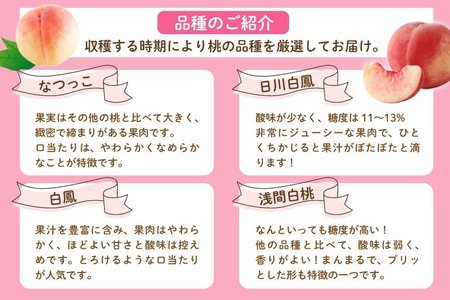 【2026年発送★先行予約】笛吹市産　厳選！桃［2kg］（5～8玉入）フルーツ大国！山梨県笛吹市より産地直送 209-001