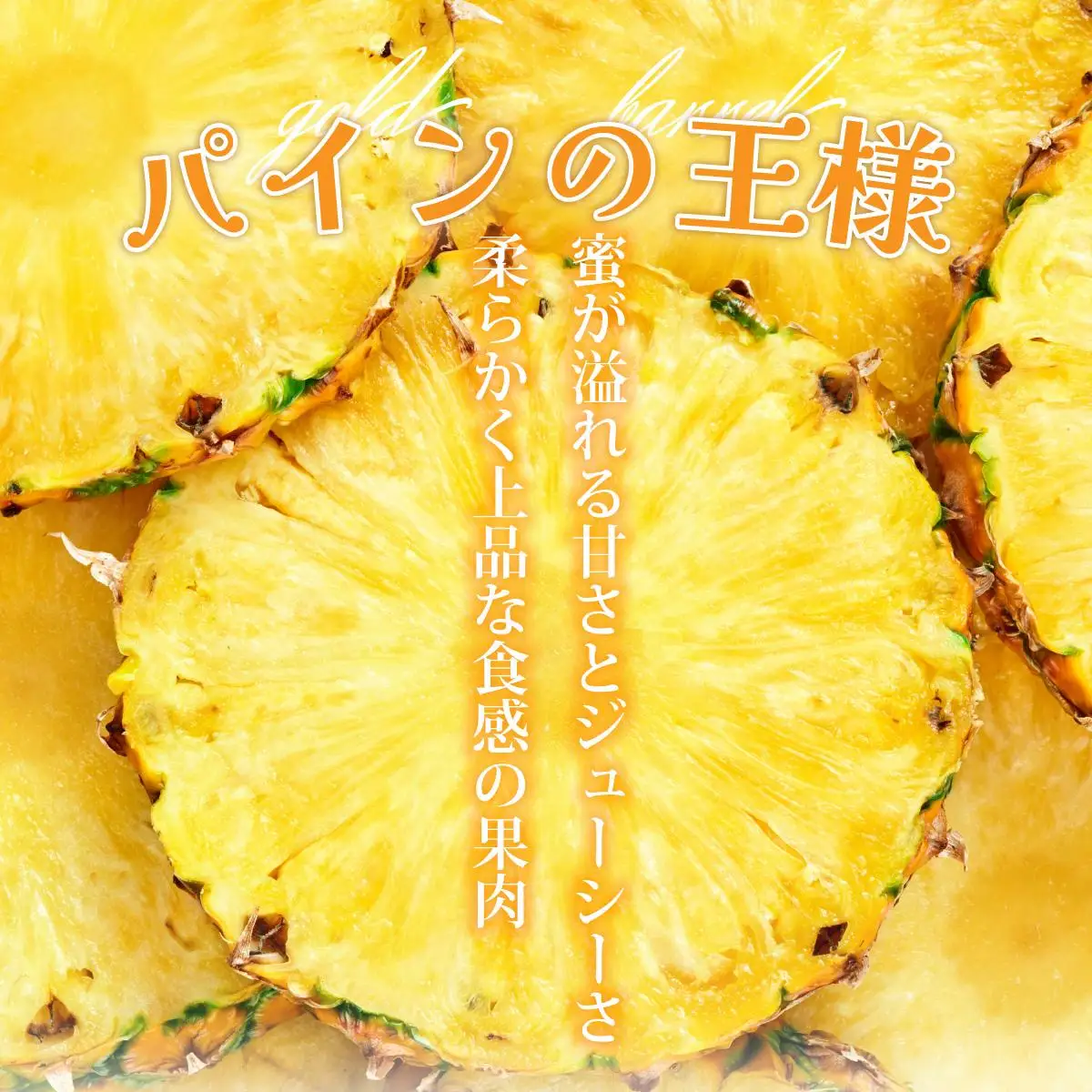 ＜先行予約＞【訳あり】石垣島産 ゴールドバレルパイン 大小混合セット 約4.5kg 　SI-7-1