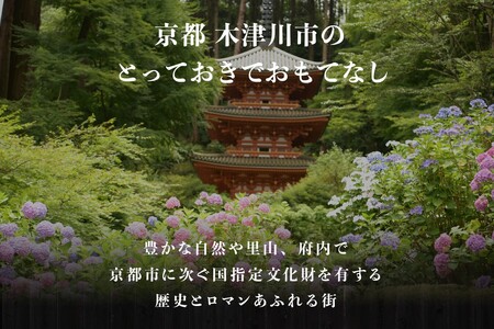 専門店のとり肉と京ジビエ、京野菜を【東京新橋】で味わう2名様 イタリアンコース お食事券 東京新橋 ESSENTIAL COOKING ペアチケット ペア券 イタリアン 夫婦 カップル 記念日 プレゼント 東京 新橋  064-25