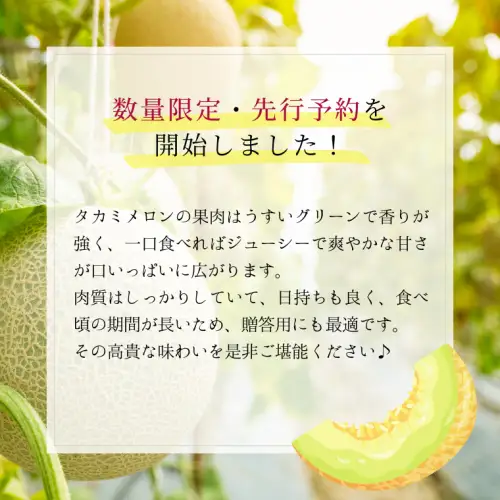 【先行予約】メロン タカミメロン 秀品 1箱 3～4玉 八千代町産