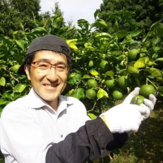 【先行予約】かぼす(2kg) | 豊後高田市 かぼす