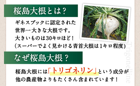 健康食品：桜島大根カプセル「Trigoのトリゴネリン」 K196-001