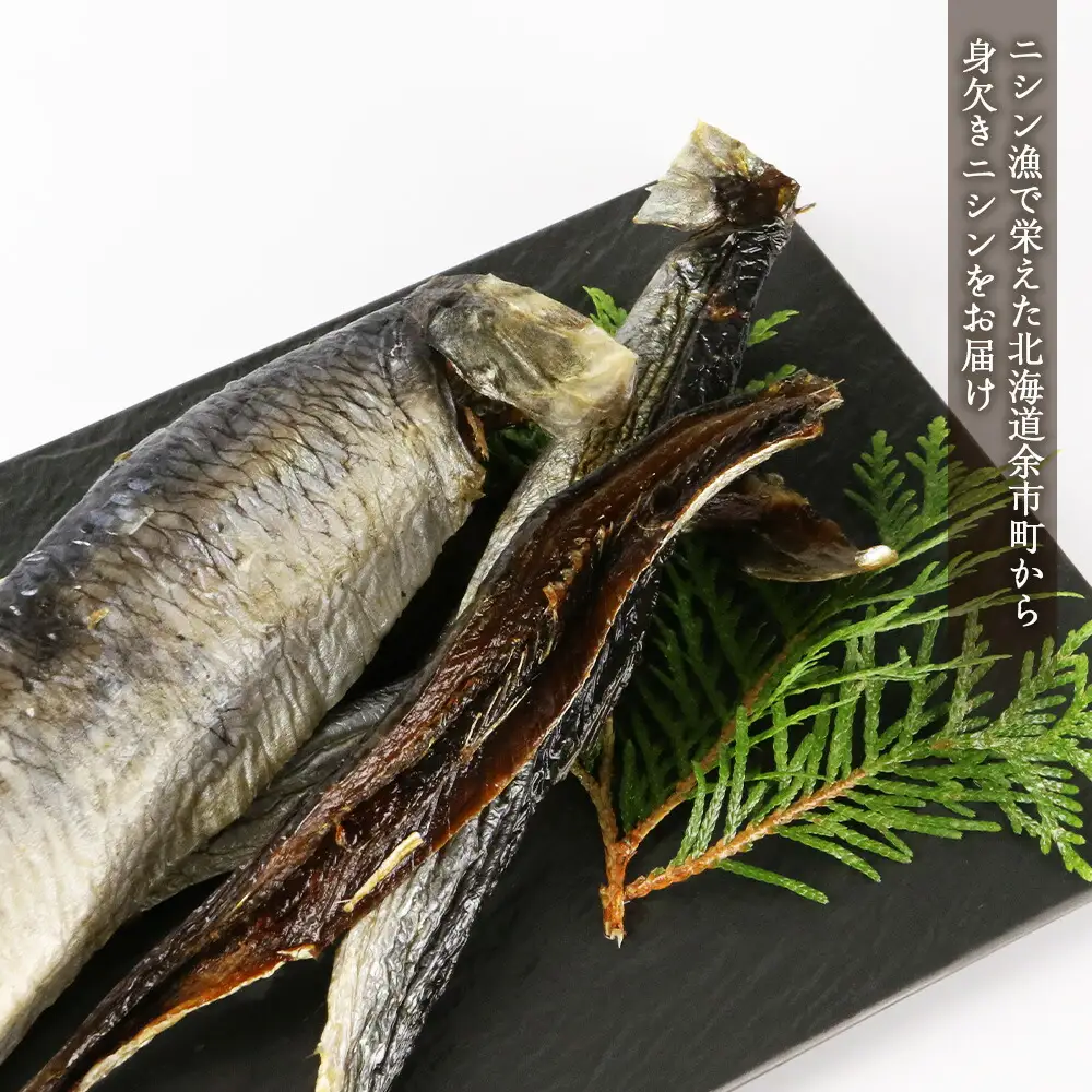 浜干し身欠きニシン◆２種セット◆＜菊地水産＞_Y020-0089
