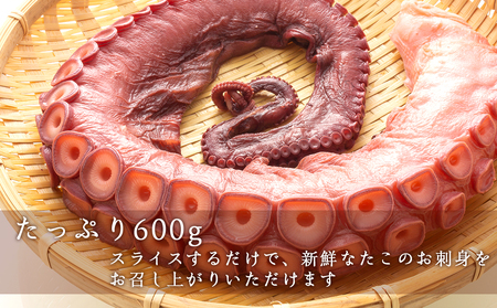 北海道産 やわらか煮たこ足（約600g）2本セット＜菊地水産＞_Y020-0429