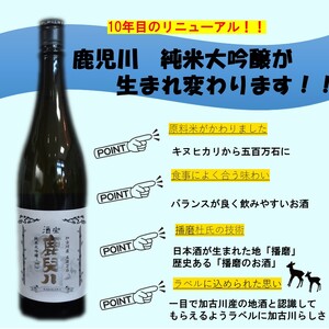 酒宝 鹿児川純米大吟醸 720ml 2本セット【2401F02602】