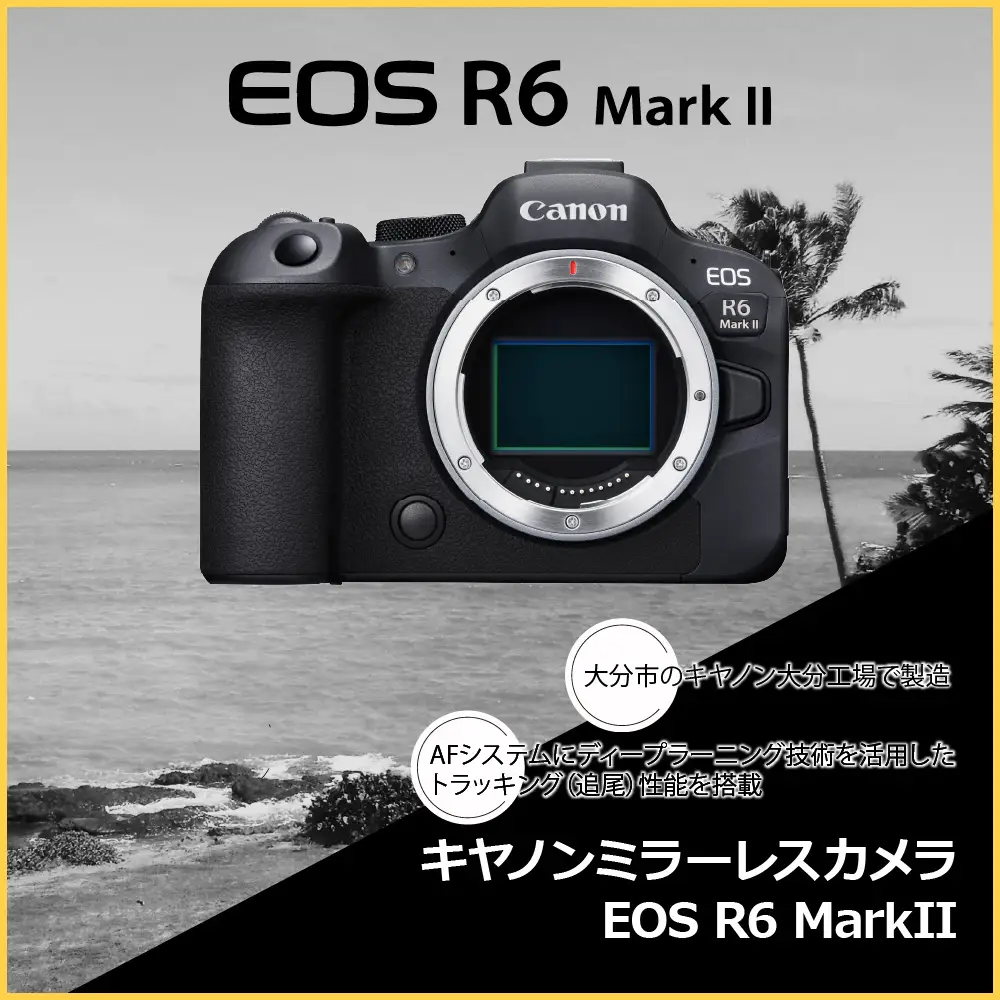 キヤノンミラーレスカメラ EOS R6 Mark Ⅱ Canon カメラ R14150