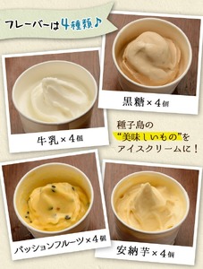 n017 アイスクリーム 詰め合わせB 計16個 黒糖 安納芋 牛乳 パッションフルーツ 【ホテルレストラン公園通り】