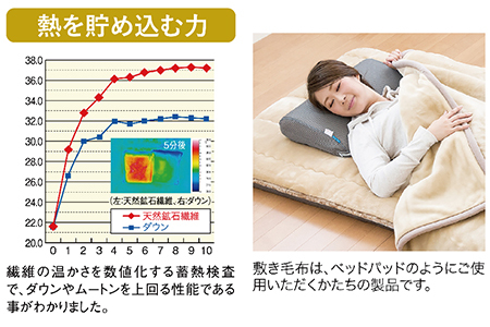 HEATRAYプレミアム敷き毛布 