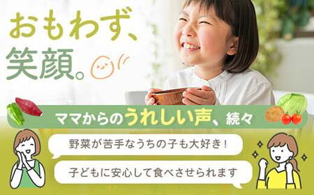 ZS-715 【訳あり】【数量限定】ママたちの想いをギュッ！薩摩で育ったほくほくじゃがいも（ニシユタカ） 10kg