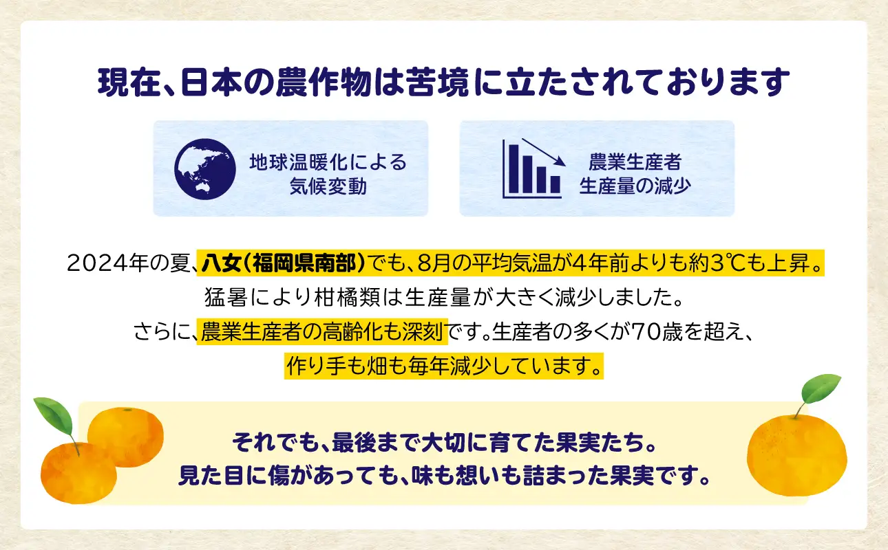 【訳あり】 もったいな果シリーズ 新高梨 缶詰 5号缶×24缶 セット 国産 梨 007-020