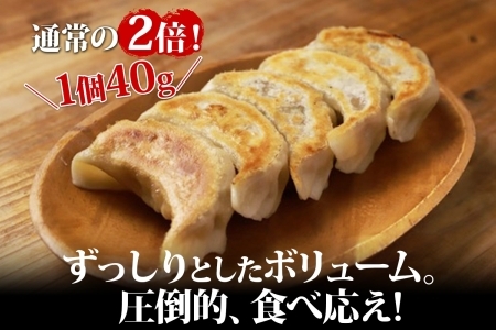 1813. よだれ餃子 10個入 9パック 計90個 生 餃子 ぎょうざ ギョウザ ギョーザ 冷凍 中華 豚 肉 野菜 厚皮 焼き 惣菜 お取り寄せ 昇龍軒 送料無料 北海道 弟子屈町 30000円