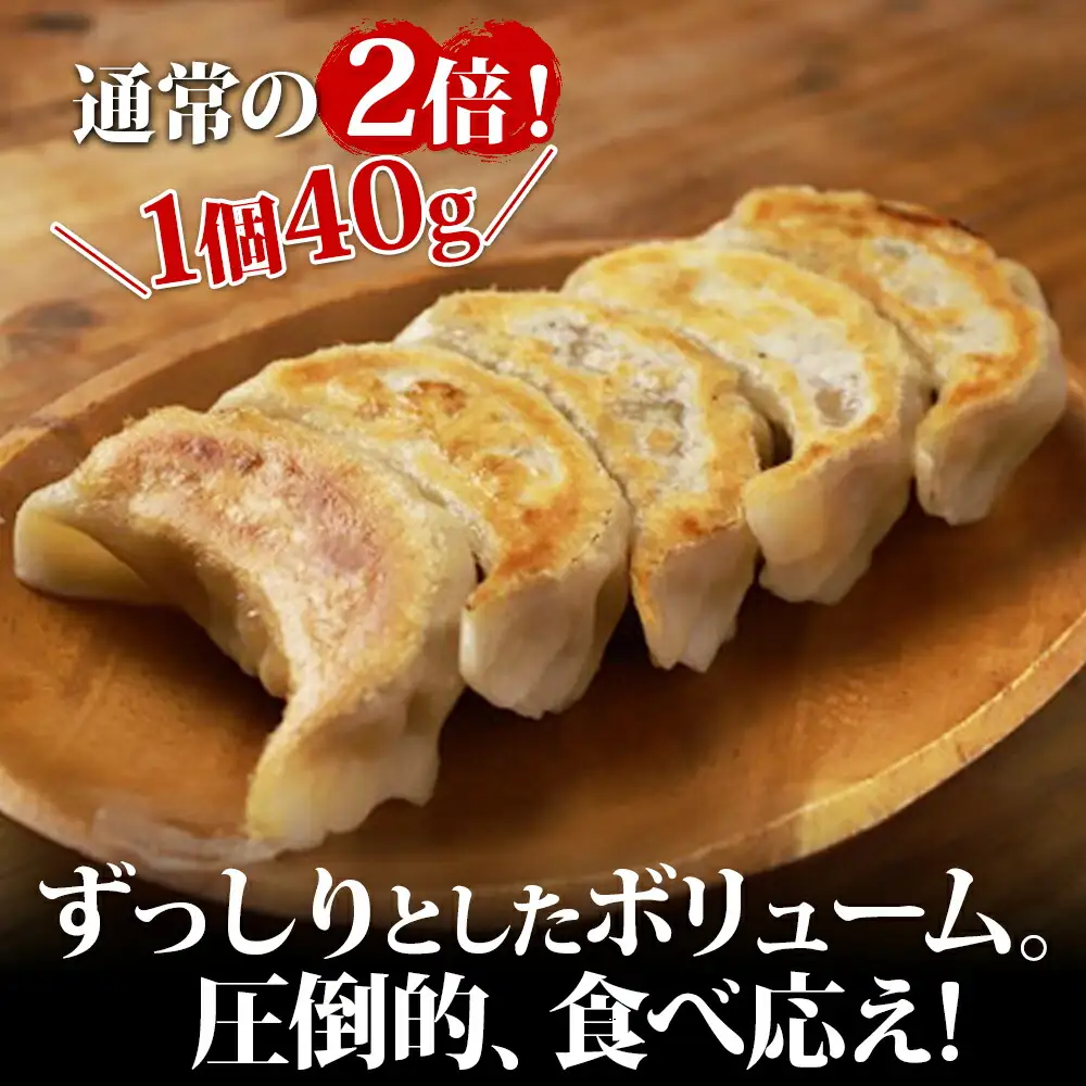 1815. 無地熨斗 よだれ餃子 10個入 3パック 計30個 餃子 ぎょうざ ギョウザ ギョーザ 生餃子 冷凍 中華 豚 昇龍軒 熨斗 のし 名入れ不可 送料無料 北海道 弟子屈町 12000円