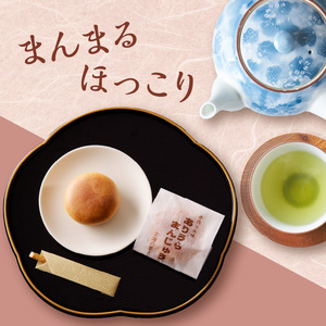 前川菓子屋のありうらまんじゅう 10個 ／ 饅頭【A143】