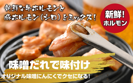 越前大野名物 大美のとんちゃん（ホルモン） 味噌ダレ 900g（300g × 3パック）冷凍 