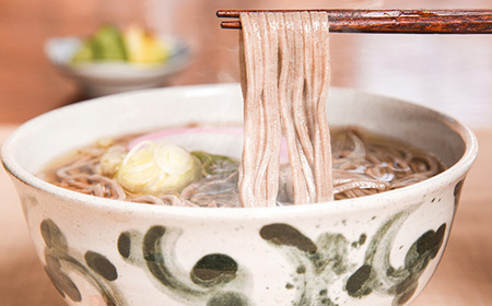 そば三昧セット 22人前 （計11袋） 大沼製麺所 F2Y-3461