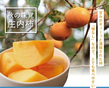 SC0690　庄内柿　約10kg(5kg×2箱) 50～62玉入 L～4Lサイズ