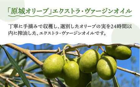 【6回定期便】 原城 オリーブ エクストラ・ヴァージンオイル  100ml 1本 / オリーブオイル オイル 油 調味料 / 南島原市 / ミナサポ [SCW055]