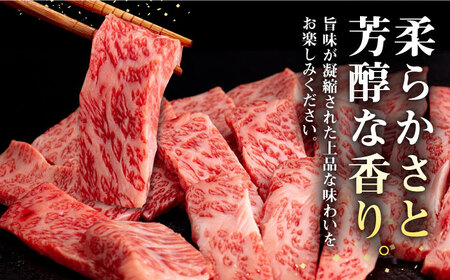 壱岐牛 焼肉用 モモ・バラ（カルビ） 500g  [JFE058] 牛肉