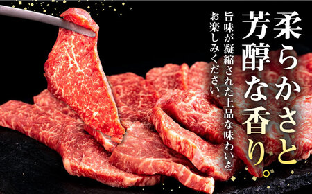 【全6回定期便】 壱岐牛 焼肉用 モモ 500g《壱岐市》【株式会社イチヤマ】 肉 牛肉 焼肉 もも BBQ [JFE073] 144000 144000円