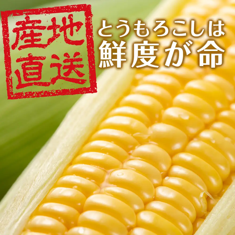 【先行予約】北海道 千歳産 とうもろこし 1本430ｇ以上 25本 恵味シリーズの中からおまかせで1種類  ＜ふぁーむあんざわ＞
