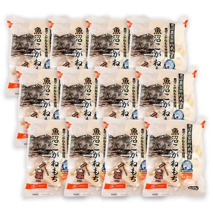 魚沼 こがねもち600ｇ×12袋　2025年10月下旬頃～順次発送予定　新潟県