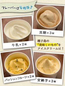 n014 アイスクリーム 詰め合わせA 計10個 黒糖 安納芋 牛乳 パッションフルーツ 【ホテルレストラン公園通り】