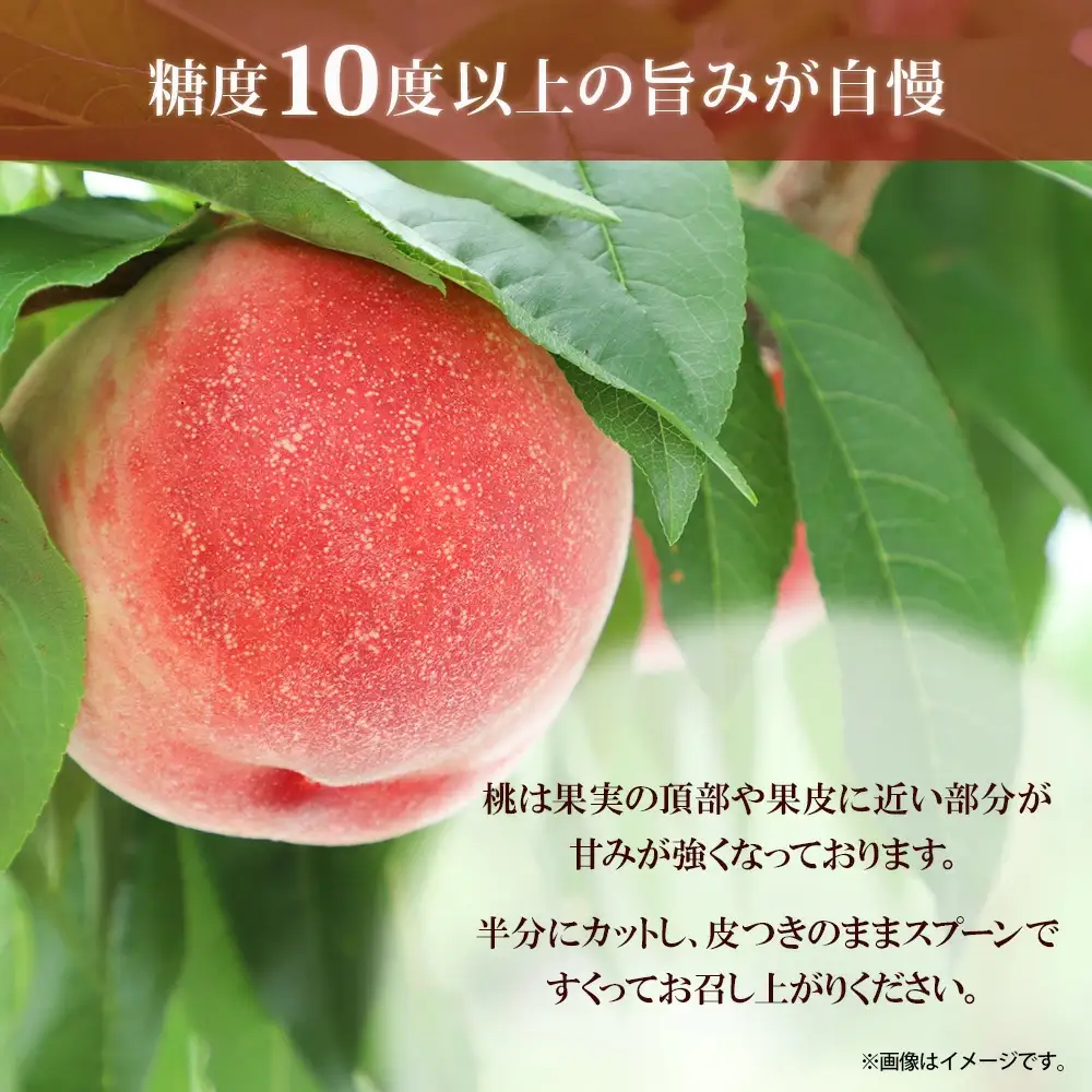 【2026年発送★先行予約】桃 秀品 2kg前後 糖度10％以上※クール便配送 177-011-26y