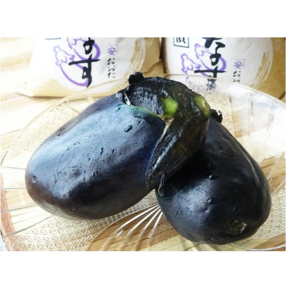 おおた商店 水なす ぬか漬け １０個入