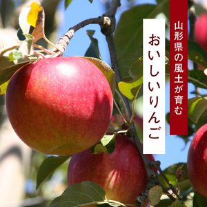 《先行予約》 令和8年産 りんご 2種セット サンふじ・シナノゴールド 秀品 合計 3kg（7 - 9玉） 山形県産 【2026年11月下旬頃より順次発送予定】2026年産 山形産　015-B-JF004