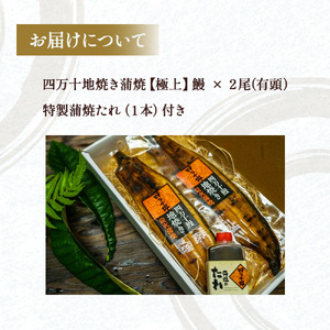 四万十地焼き蒲焼鰻 （2尾セット） うなぎ たれ付 鰻 ／Esg-19