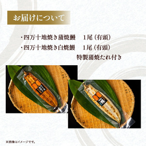 四万十地焼き鰻 蒲焼＆白焼セット（２尾） 高知うなぎ 国産 冷凍 四万十 土用の丑の日 ／Esg-20