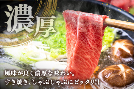 ブランド牛「黒毛和牛ひなた」肩ローススライス500g【C203】