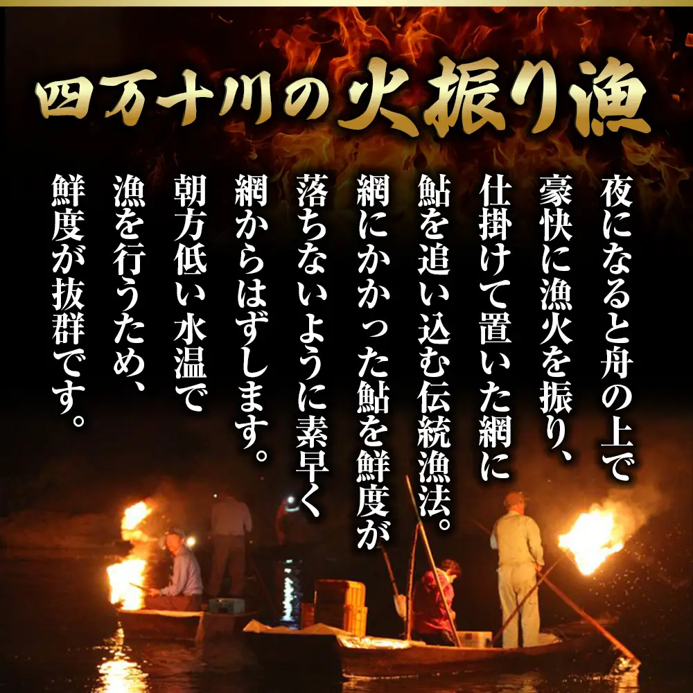 【四万十川の天然鮎】特大サイズ一夜干し5枚セット ／Esg-A27 あゆ アユ 鮎 川魚 あゆの塩焼き
