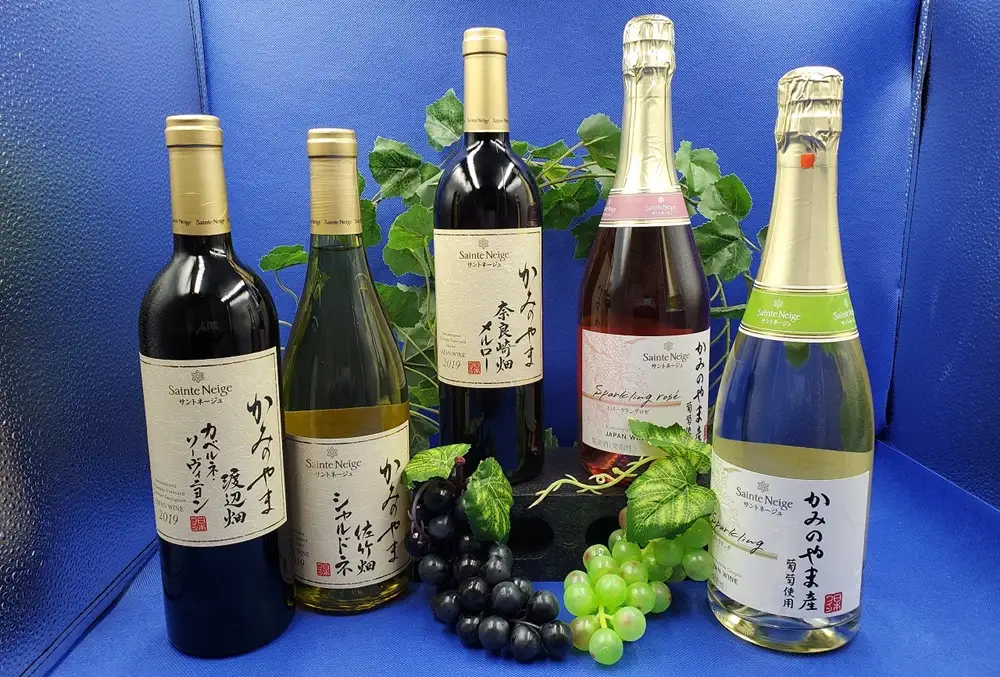 【定期便：全５回】サントネージュかみのやまプレミアムワイン　0141-2421