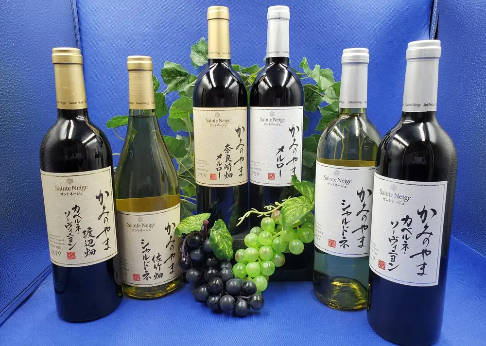 サントネージュかみのやま産葡萄のワイン満足セット（７５０ｍｌ×６本）　0141-2615
